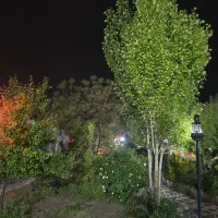 سرایداری