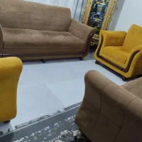 مناسب تر از همه جا خرید کنید نخل سبز