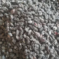 مویز سیاه شاهی