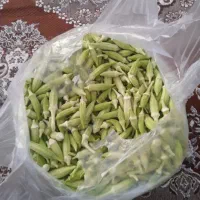 بامیه محلی دیره