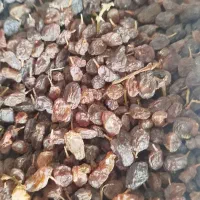 کشمش آفتابی مغز دار و شیرین