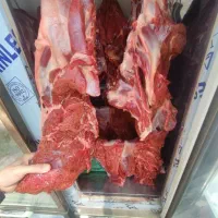 گوشت گوساله سود کم،فروش بالا