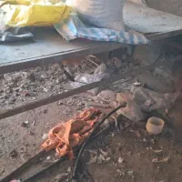 میز ویبره سالم