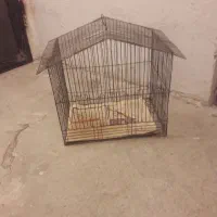 قفس|لوازم جانبی حیوانات|پردیس, فاز ۴|دیوار