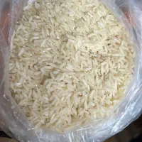 برنج طارم هاشمی دوباره نشا اصل فریدونکنار