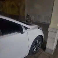 النترا 2015 فول شرکتی