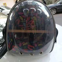 کیف حمل و نقل پرنده