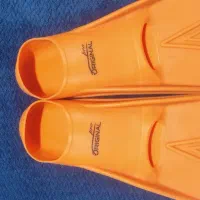 پافین سالم و نو