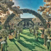 استخدام نیروی جوان برای تشریفات وامور گردشگری
