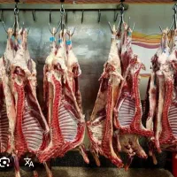 استخدام قصاب فروشنده حرفه ای