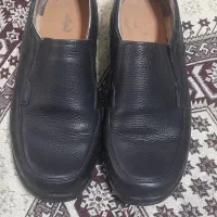 کفش کار نو نو