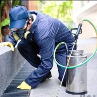 سم پاشی موریانه سوسک ساس سمپاشی تضمینی