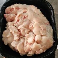 چربی و روغن شتر مرغ تازه
