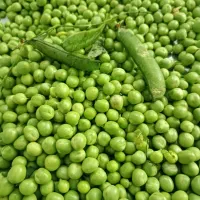 سبزی جات