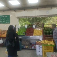 نیرو کار برای میوه فروشی