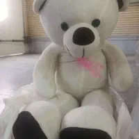 عروسک تمیز 600