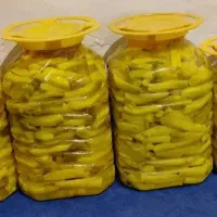 ترشی بیلهر
