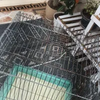 قفس پرنده
