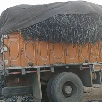 ۷۰خریدنقدی تیپ کشاورزی.استعلام قیمت بگیریدضررنداره
