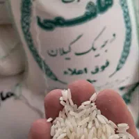 فروش تکی برنج به قیمت عمده با سود کم برنج هاشمی