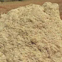 کاه جوکاه گندم