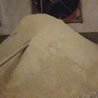 فروش یک تن دان مرغی پایانی