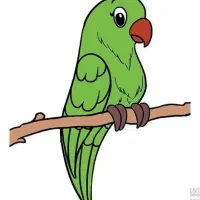 طوطی پیدا کردم