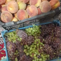 ۱۲ کیلو هلو۴کیلوانگور