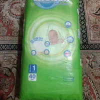 مولفیکس 1