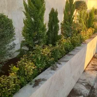 باغبانی نهال کاری گل کاری هرس درخت حرس درختچه تیلر