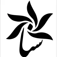 راننده نیسان و وانت