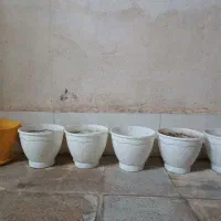 گلدان پلاستیکی