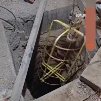 اجرای ارتینگ باتاییدازوزارت کار،تعمیرتابلوهای برق