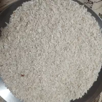 برنج تمیز چمپا هاشمی...زیر قیمت بازار