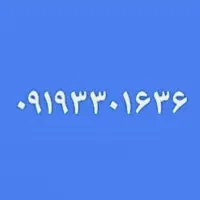 فروش خط ۰۹۱۹