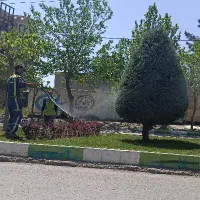 استخدام نیروی فضای سبز