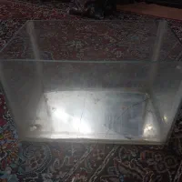 آکواریوم