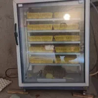 دستگاه 420تایی بلدرچین دماوند