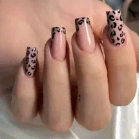 پذیزش هنر جو با نصف هزینه اموزش و مدرک