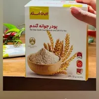 جوانه گندم