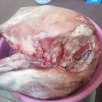 گوشت تازه بره