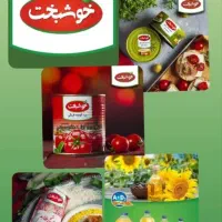 استخدام ویزیتور