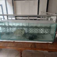 آکواریوم با لوازم کامل