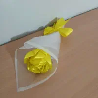 گل ربانی|گل مصنوعی|ابهر, |دیوار