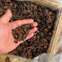 کشمش آفتابی ازبک