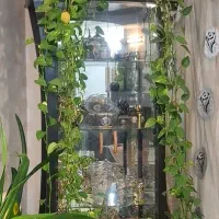 ویترین  ۳ طبقه