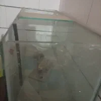اکواریوم