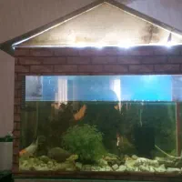 اکواریوم‌ با وسایل