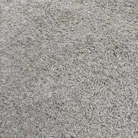 جودیم برای بذر