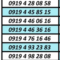 0919.4841404|سیمکارت|کرج, بنیاد|دیوار